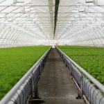 Alsera, Balıkesir’de 2 jeotermal sondaj kuyusu açacak