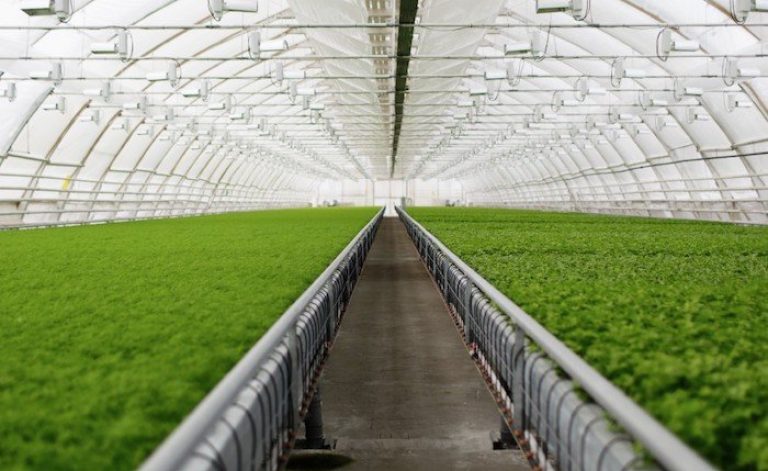 Alsera, Balıkesir’de 2 jeotermal sondaj kuyusu açacak