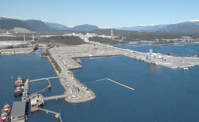 IEA: Küresel LNG arzı bu yıl hızla artacak