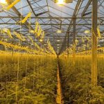 Karahan Group Bursa’da jeotermal kaynak arayacak