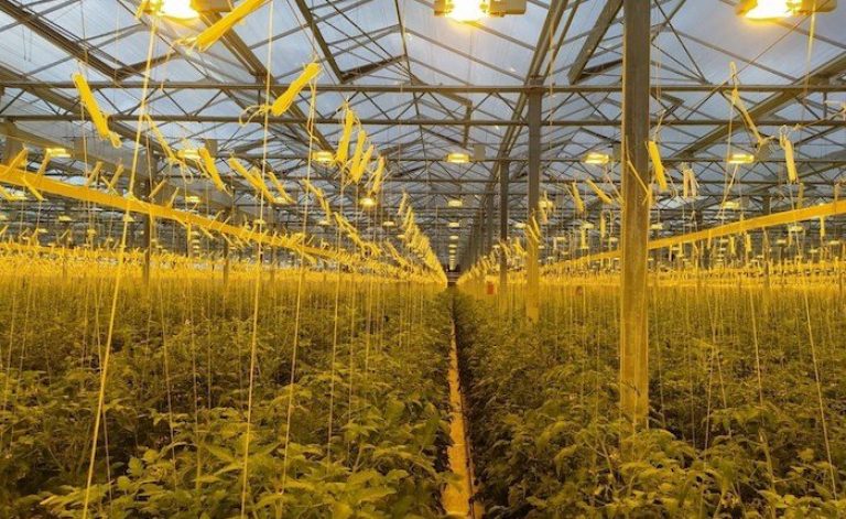 Karahan Group Bursa’da jeotermal kaynak arayacak