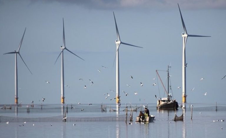 Kuzey Denizi’nde 100 GW’lık rüzgar ağı kurulacak