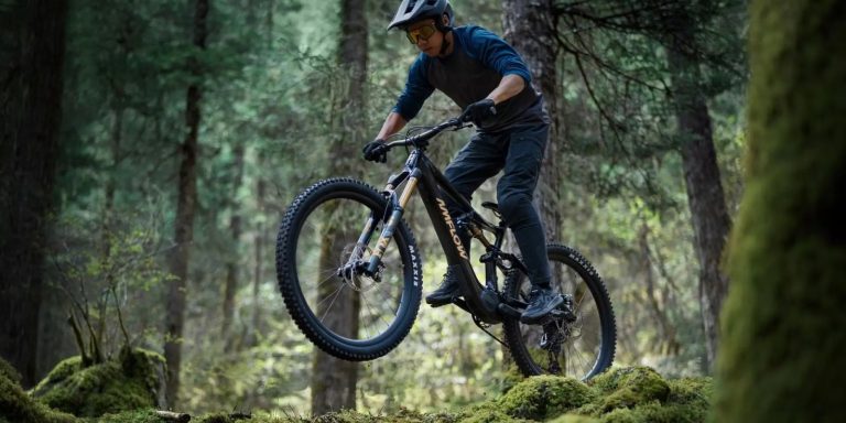 Şimdi başka bir ABD eyaleti e-bisikletler için kayıt zorunluluğu getirmek istiyor