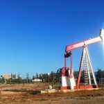 TPAO sismik veri toplama hizmeti alacak