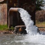 Kaçak mısır ekimi Şanlıurfa’da kaçak elektrik kullanımını artırdı