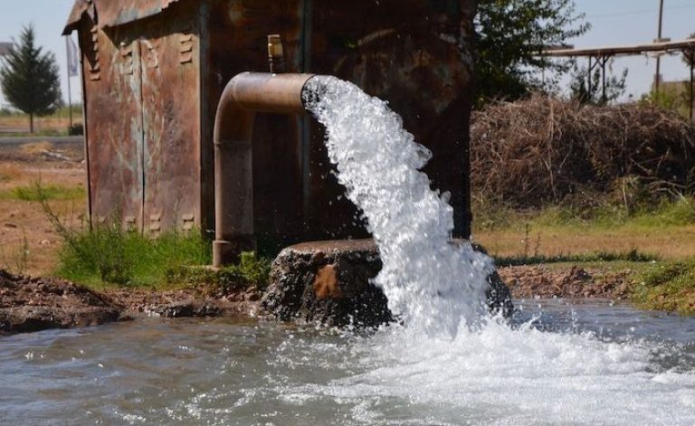 Kaçak mısır ekimi Şanlıurfa’da kaçak elektrik kullanımını artırdı