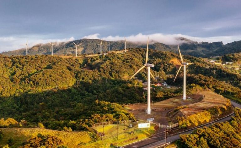 Rüzgar enerjisi 2025’te rekor kırıyor