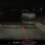 Tesla ‘Full Self-Driving’ sahibi göle sürmeye çalıştı, viral video gösteriyor