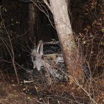 Tesla'ya bir ölümcül kapı kolu davası daha açıldı – Çin ise çözüm buldu