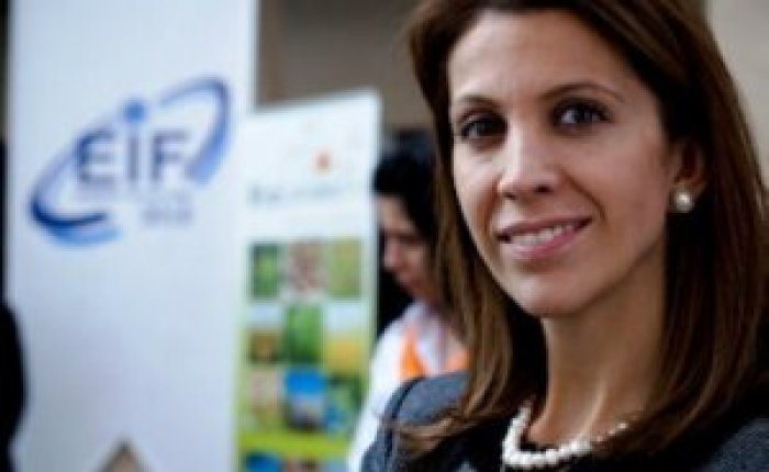 Dilek: Lisanslı depolamalı santraller 2-3 yıl içinde kurulabilir