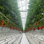 Ekin Yatırım, Balıkesir’de jeotermal kaynak arayacak