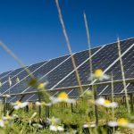 IEA: Güneş enerjisi, küresel çapta ilk kez tüm enerji kaynaklarını geride bıraktı