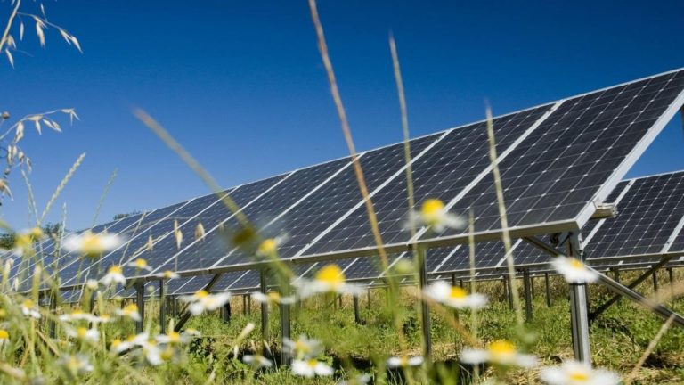 IEA: Güneş enerjisi, küresel çapta ilk kez tüm enerji kaynaklarını geride bıraktı