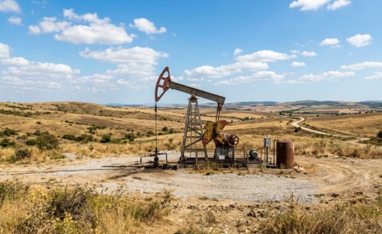 TPAO, Kırklareli'nde kuyu lokasyonu için kamulaştırma yaptı